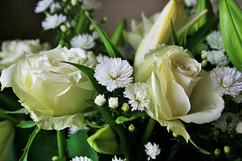 White Rose Bouquet, Roses, White, Flowers, Bouquets, Nature HD wallpaper