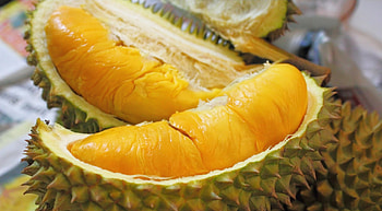 Mouth-watering durian , High-quality , Delicious food, Vibrant HD wallpaper