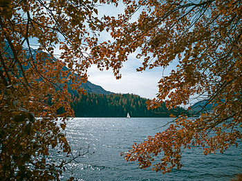 Nature, Trees, Lake, Shore, Bank, Branches, Boat HD wallpaper