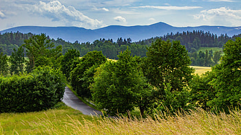 Road Between Trees Bushes Green Grass Field Forest Scenery Mountains Under Clouds Blue Sky Nature HD wallpaper