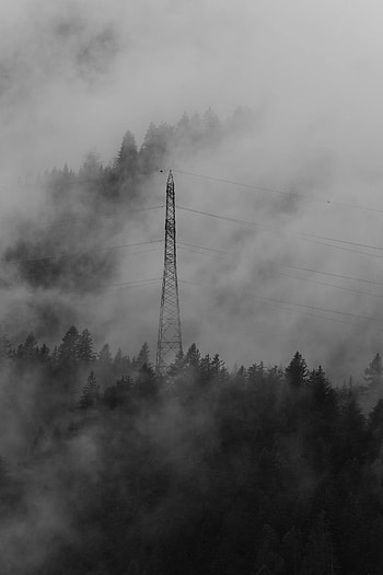 Nature, Trees, Forest, Fog, Darkness, Wire, Wires HD phone wallpaper