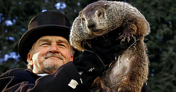 Groundhog Day 2017, Groundhog Day HD wallpaper