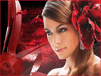 beauty, rose, romance, crimson, dream HD wallpaper