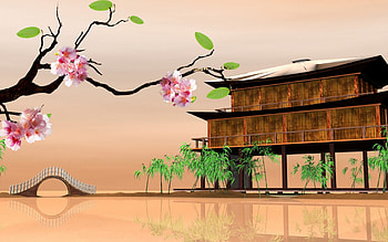 * Japan *, sacura, nature, flowers, flower HD wallpaper