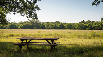 Serene Picnic Table Scene - Nature, picnic table HD wallpaper