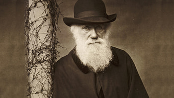 Charles Darwin HD wallpaper