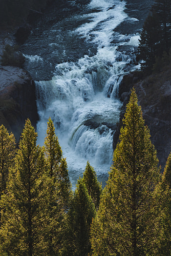 Nature, Water, Rivers, Trees, Waterfall HD phone wallpaper