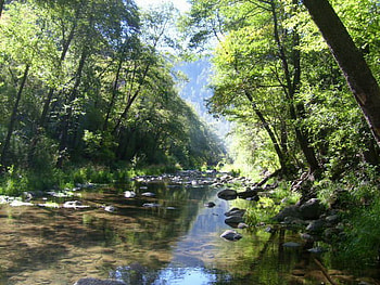 BEAUTIFUL RIVER, trees, river, water, beauty HD wallpaper