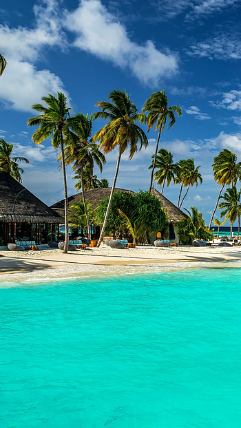 Maldives, Beaches HD phone wallpaper