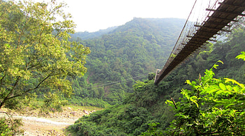 Suspension bridge in the Valley, Valley, Suspension bridge, tree, mountain HD wallpaper