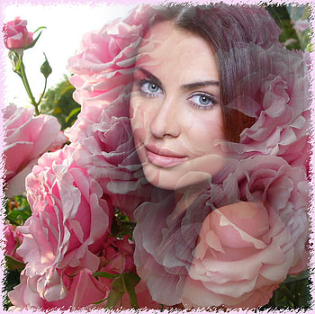 the beauty and the roses, roses, art, portrait, blend, woman HD wallpaper