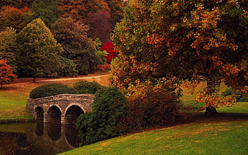 forest tressle, architecture, fun, cool, nature, bridges, forest HD wallpaper
