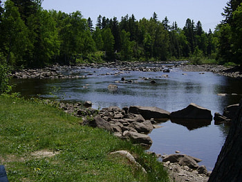 untitle, river, grass, rocks HD wallpaper