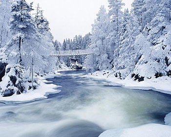 River in the Winter Cold, winter, river, white, frozen, cold, trees, bridge HD wallpaper