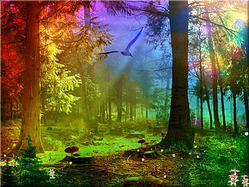 Rain forest, manipulation, rain, bird, forest, tree HD wallpaper