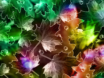 Seasons, 3d and cg, abstract HD wallpaper
