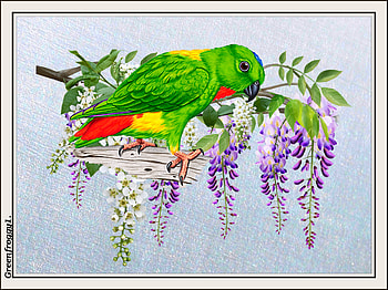 PARROT AND BRANCHES, ART, CREATION, , ABSTRACT HD wallpaper