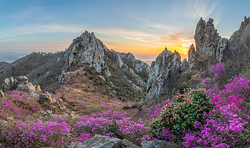Mountain, flower, nature, Mount, sky, rocks HD wallpaper