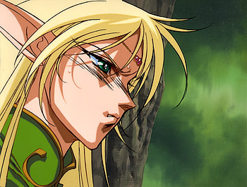Deedlit, magic, blond, lodoss, elve, beautiful, royalty, anime, fantasy, love, face, princess, warrior, powerful HD wallpaper