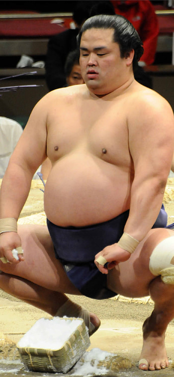 Sumo, Best HD phone wallpaper
