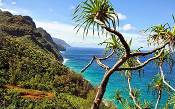 Kalalau Trail, Kuwaii, Hawaii, yucca, cliffs, coast, sky, usa, tree HD wallpaper
