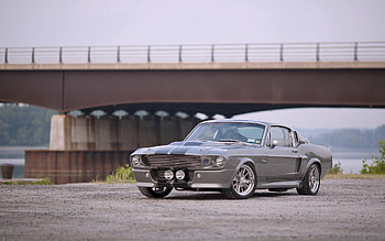 Ford, Cars, Front View, Bridge, Grey HD wallpaper