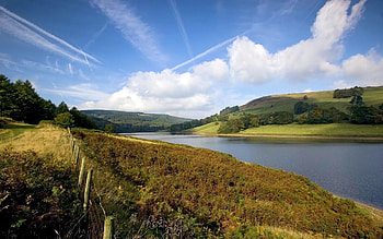 Nature, Rivers, Sky, Clouds, Shore, Field, Fence, Shores HD wallpaper