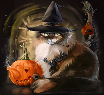 The Cat in The Hat, halloween, pipe, tea, smoke, pumpkin, cat, steam, hat HD wallpaper