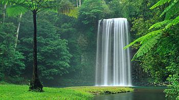 Mystical forest charm, Serene waterfall, Tranquil ambiance, Nature's tranquility HD wallpaper