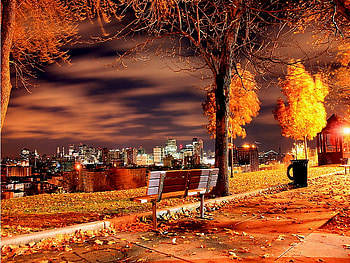 Night bench, night, bench, city, lights, streets, evening HD wallpaper