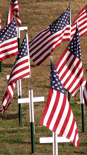 Memorial Day, American Flags, Veterans Day HD phone wallpaper