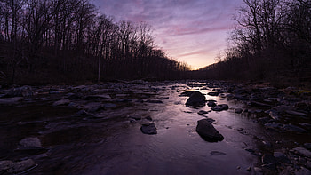 Gunpowder Falls River In Maryland, tree, trees, lake, stones, sky, nature HD wallpaper