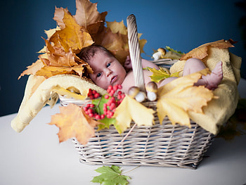 Autumn baby, sweet, towel, fall, cute, baby, mushroom, basket, little angel, leaves, love, autumn, sweetness, adorable, amazing HD wallpaper