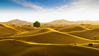 Rub al Khali Desert, desert, sand, araibian peninsula HD wallpaper