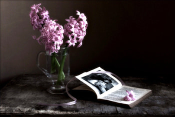 Still Life, book, petals, nature, flowers, hyacinth HD wallpaper