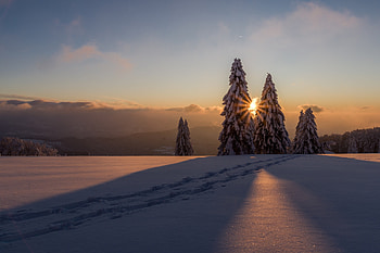 Winter, sunset, landscape, snowy trees HD wallpaper