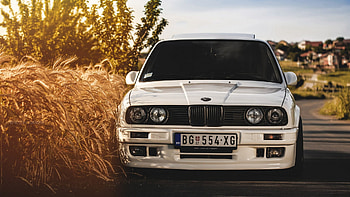 BMW E30, bmw-e30, cars, wheat HD wallpaper