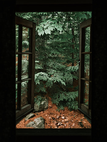 Stones, Clouds, Miscellanea, Miscellaneous, Wood, Tree, Fir, Spruce, Window HD phone wallpaper