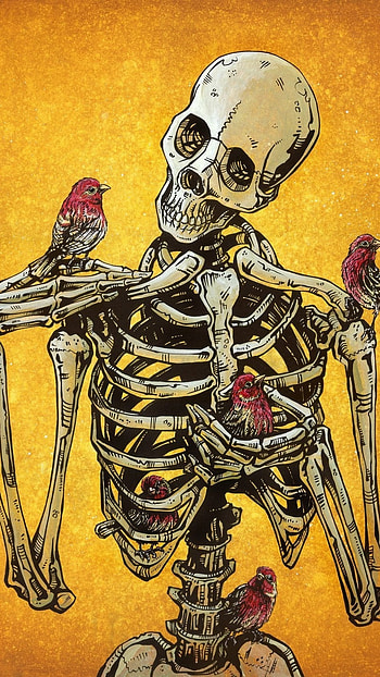 Skeleton, Bird, Human Skeleton HD phone wallpaper