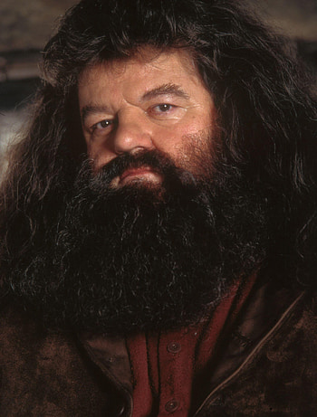 Hagrid, Half-giant hero, Hogwarts professor, Brave companion HD phone wallpaper