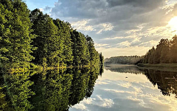 River in Latvia, river, reflection, trees, Latvia, calm HD wallpaper