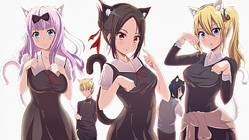 Kaguya-sama, Love is War, TV series, Backdrop collection HD wallpaper
