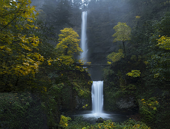 Nature, Water, Trees, Rock, Waterfall, Bridge HD wallpaper