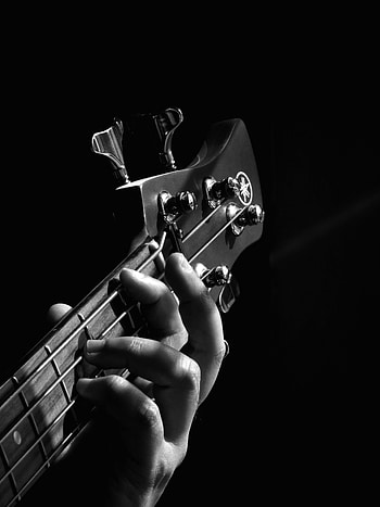 Music, Hand, Guitar, Musical Instrument, Vulture, Bw, Chb HD phone wallpaper