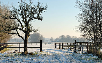 bells will be ringing, winter, nature HD wallpaper