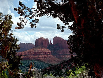 In the Frame of it All, sky, brush, canyon, tree HD wallpaper