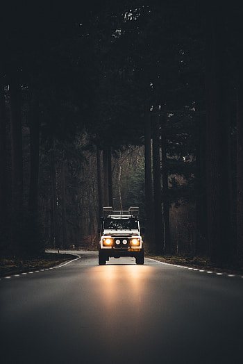 Auto, Trees, Cars, Road, Fog, Evening HD phone wallpaper