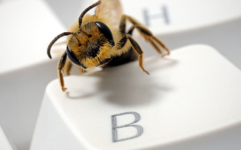 Macro, Eyes, Insect, Keyboard, Button HD wallpaper
