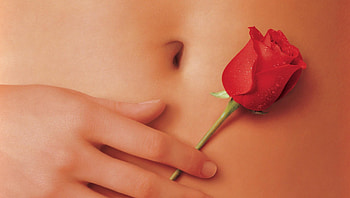 American Beauty (2022) movie HD wallpaper