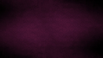 Plain Black 28 Background. Plain Black 28 Background HD wallpaper
